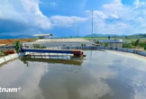 Quảng Trị ưu tiên đầu tư hoàn thiện hệ thống xử lý nước thải cụm công nghiệp