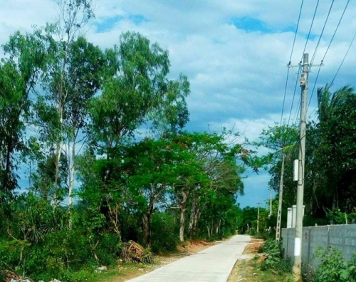 Bê tông hóa đường làng ngõ xóm